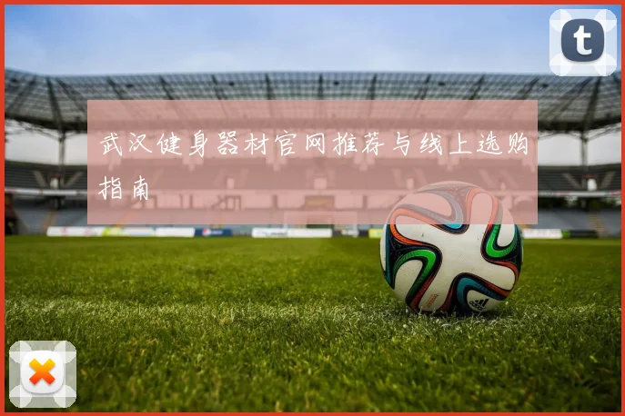 武汉健身器材官网推荐与线上选购指南