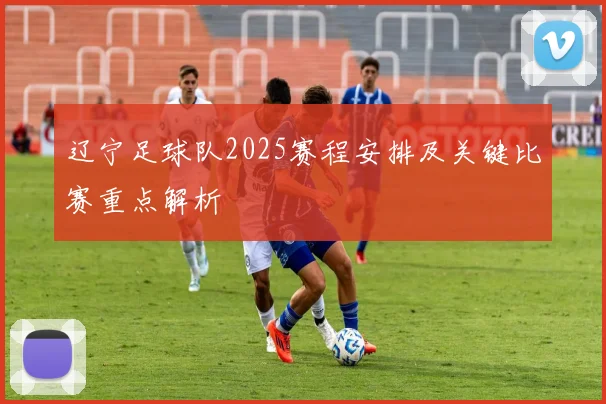 辽宁足球队2025赛程安排及关键比赛重点解析