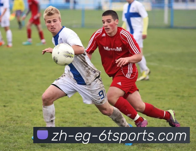 6T体育平台生态图