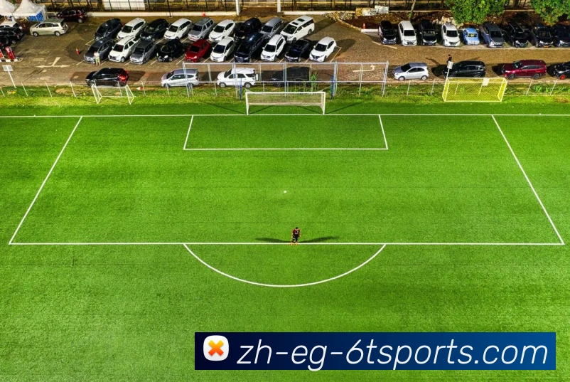 6T体育APP 封面图